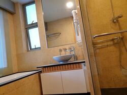 Cairnhill Crest (D9), Condominium #553666581